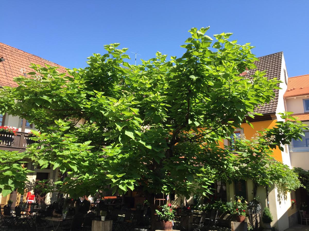 Gasthof Zum Storch Prichsenstadt Εξωτερικό φωτογραφία